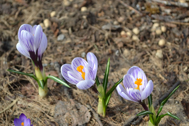 Similar image 22083581