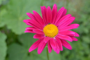 Similar image 22083582