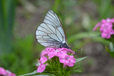 Similar image 22083583