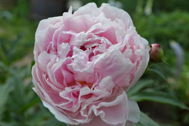 Similar image 22083584