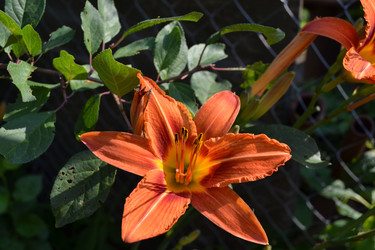 Similar image 22083586