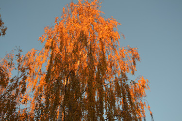 Similar image 22083600