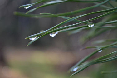 Similar image 22083603