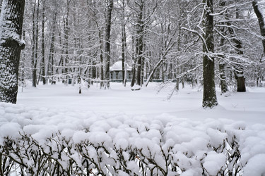 Similar image 22083607