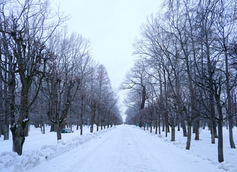 Similar image 22083612