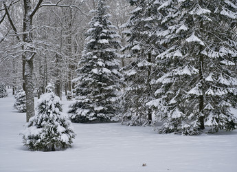 Similar image 22083615