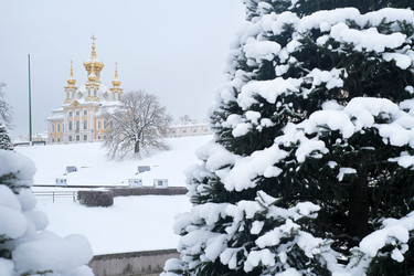 Similar image 22083619