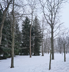 Similar image 22083669