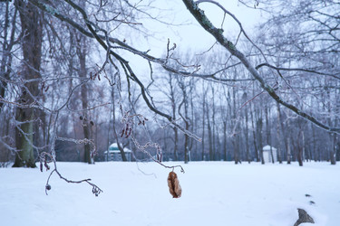 Similar image 22083681