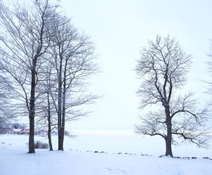 Similar image 22083683