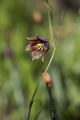 Similar image 22083638