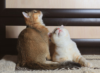 Similar image 22083642