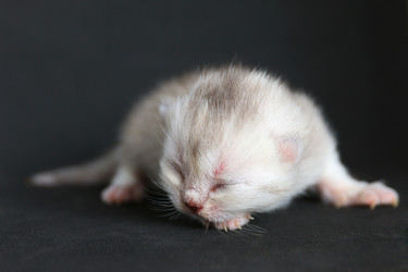 Similar image 22083650