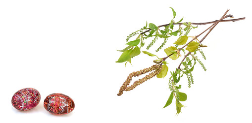 Similar image 22083710