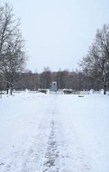 Similar image 22083714