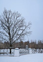 Similar image 22083750