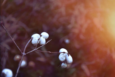 Similar image 22083414