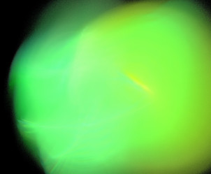 Similar image 22084484