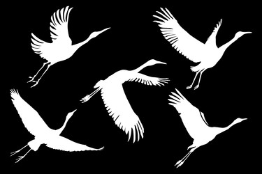 Similar image 22084319