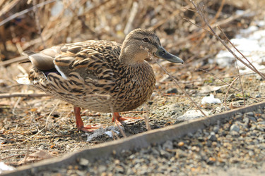 Similar image 22085171