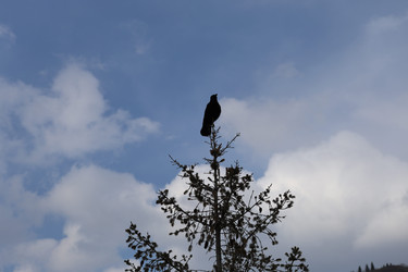 Similar image 22084220