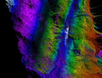 Similar image 22084925