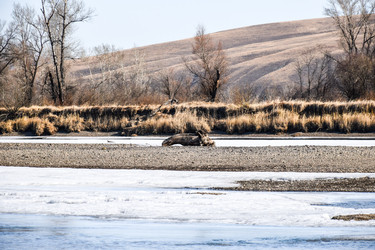 Similar image 22085606