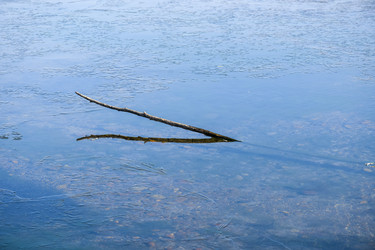 Similar image 22085607