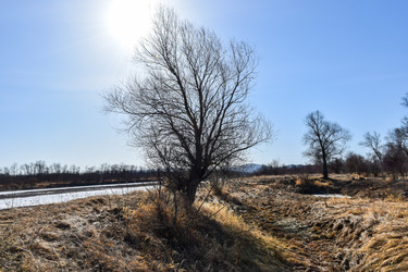 Similar image 22085610