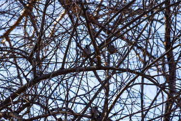 Similar image 22085611