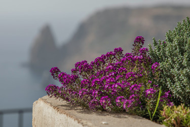 Similar image 22084228