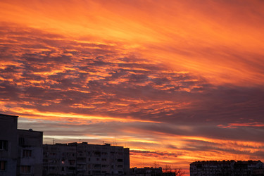 Similar image 22084229