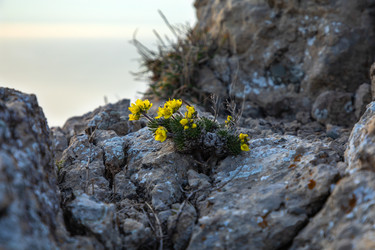 Similar image 22084232