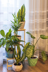 Similar image 22084346