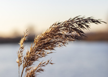 Similar image 22084364