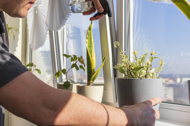 Similar image 22084372