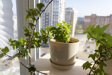 Similar image 22084373