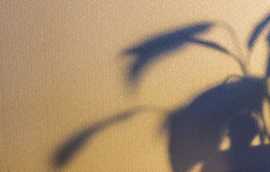 Similar image 22084389