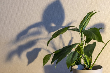 Similar image 22084391