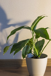 Similar image 22084393