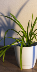 Similar image 22084395