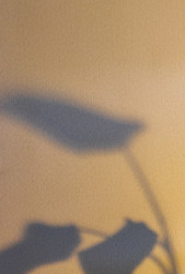 Similar image 22084398