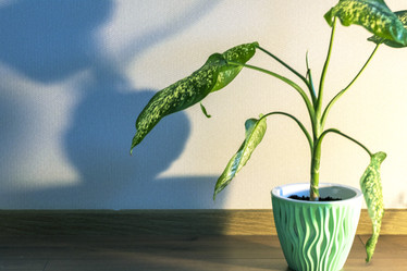 Similar image 22084399