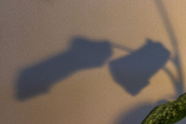 Similar image 22084400