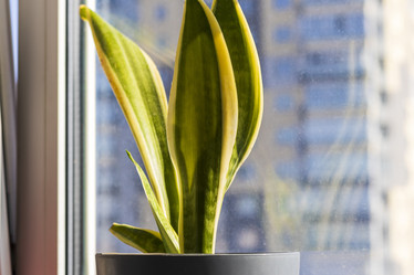 Similar image 22084403