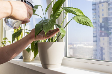 Similar image 22084404