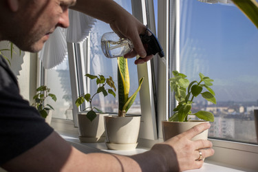 Similar image 22084405