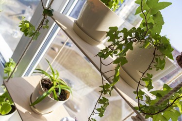 Similar image 22084410