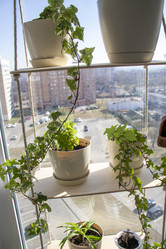 Similar image 22084411