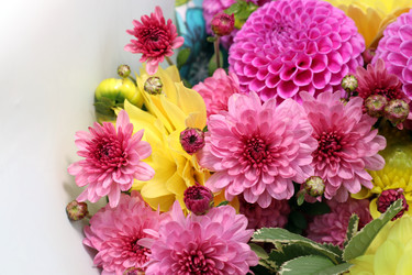 Similar image 22084241